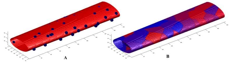 Modelling of fibre and myonuclear domains (blue), as (A) an elliptical cylinder and (B) 3D representation of organisation