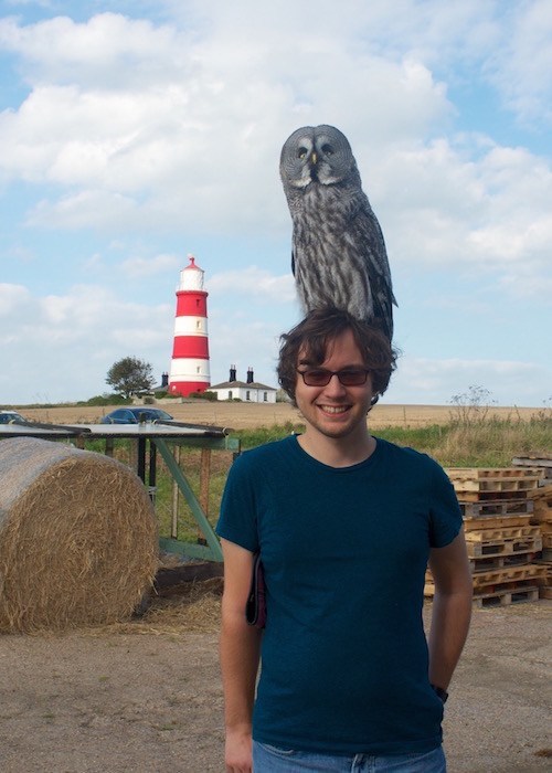 rob owls