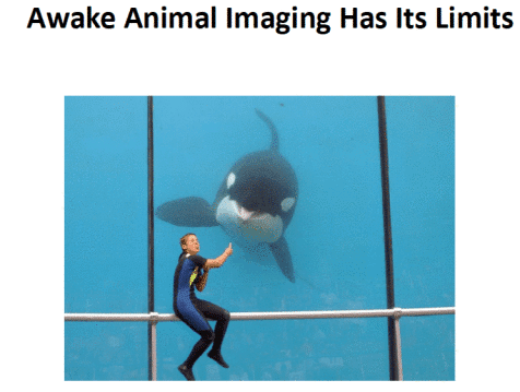 awake