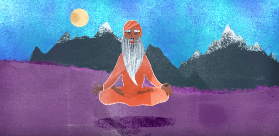 yogi