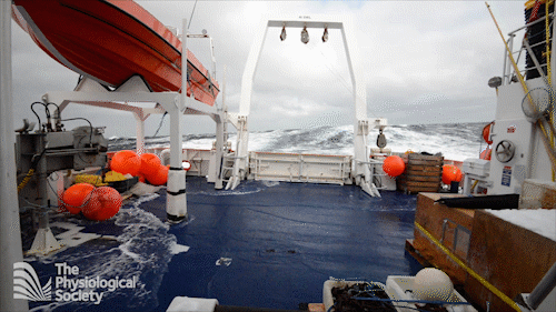 Rough_sea