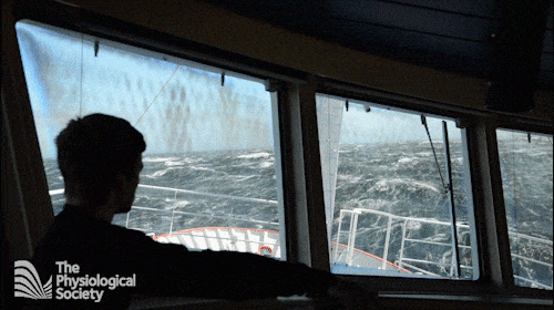 Emil_rough_sea