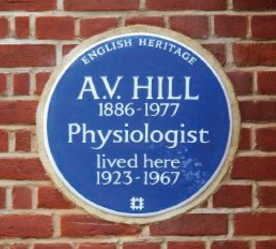 Plaque