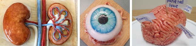 BioBakes winners
