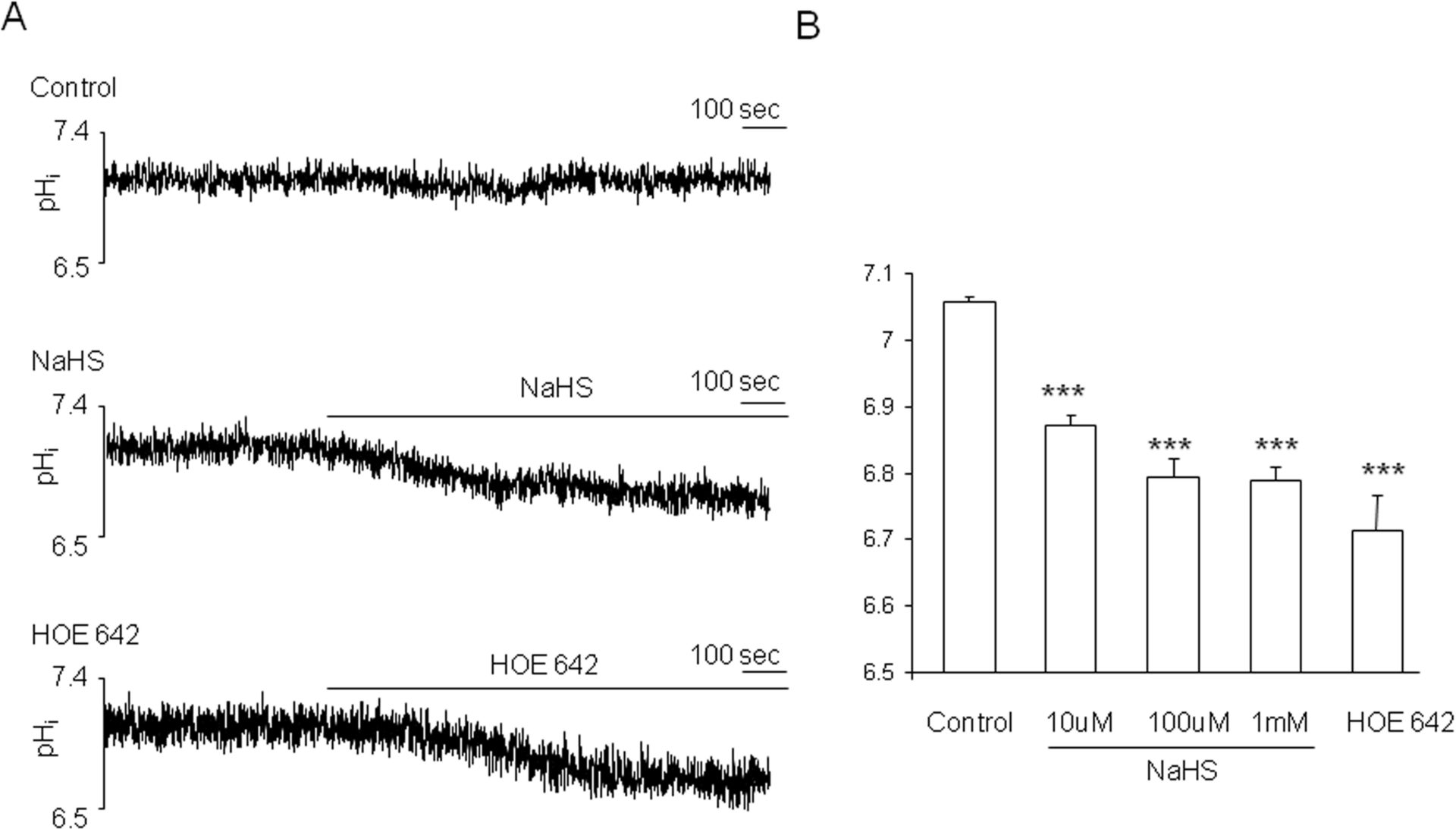 Figure 1. Hydrogen sulfide induces intracellular acidosis in single cardiac myocytes. (A) Typical tracing showing the effect of NaHS (100 Î¼M) and HOE 642 (7 Î¼M) on intracellular pH. (B) Concentration-dependent effect of NaHS. MeanÂ±S.E.M., n=9-36, *** p<0.01.