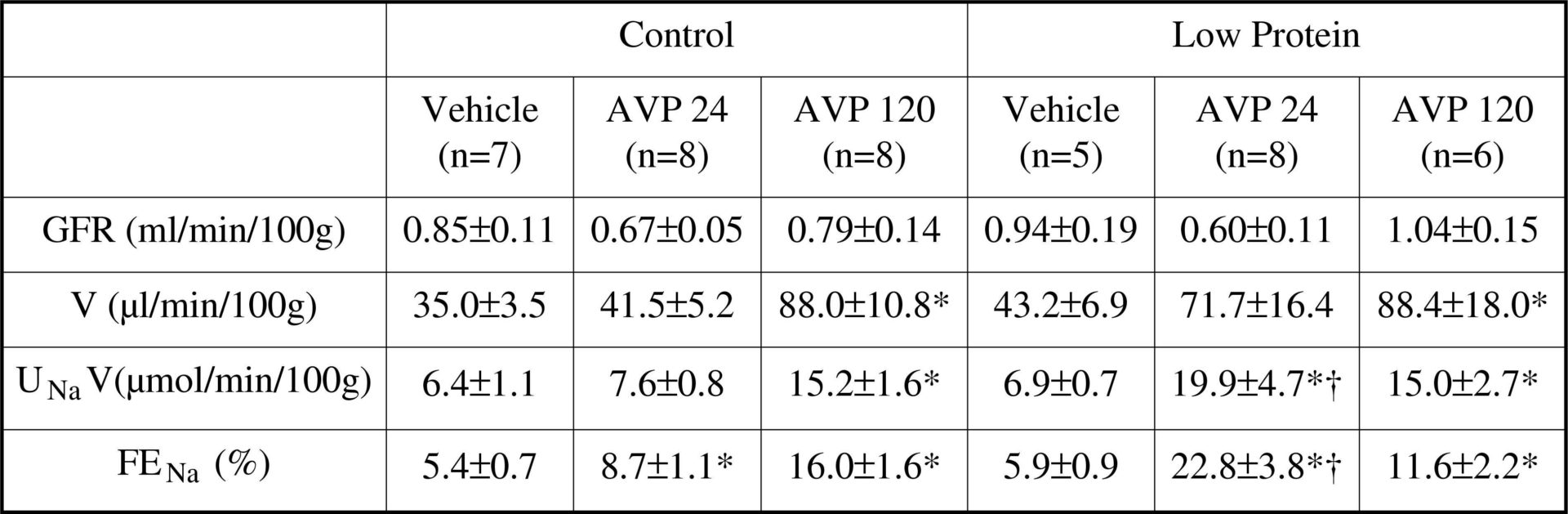 Table 1. Glomerular filtration, urine flow and sodium excretion rates in 4 week old control (n = 7 litters) and low protein rats (n = 7 litters) after 30 mins infusion of vehicle or AVP (µU/min). Data shown as mean ± SEM. * P &lt;0.05 vs vehicle; † P &lt;0.05 C vs LP receiving similar treatment, oneway ANOVA and Duncan’s test