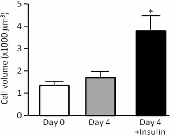 Figure 1. Effect of culture media on volume of isolated GP chondrocytes in 3D agarose culture. (Data are means ± s.e.m. for 3 separate experiments on different animals).