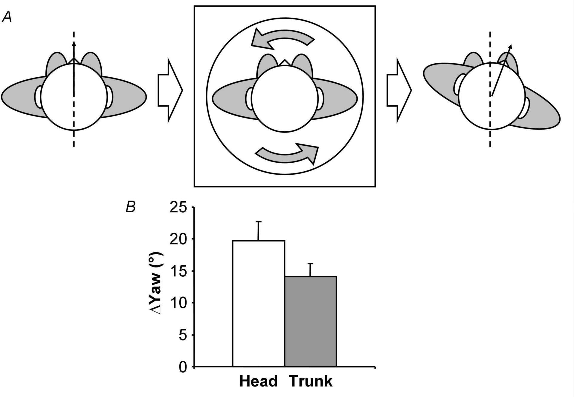 A) Experimental protocol; subjects demonstrated a change in yaw relative to feet following stepping in place on a rotating turntable. B) Mean (± SEM) change in yaw magnitude at head and trunk levels.
