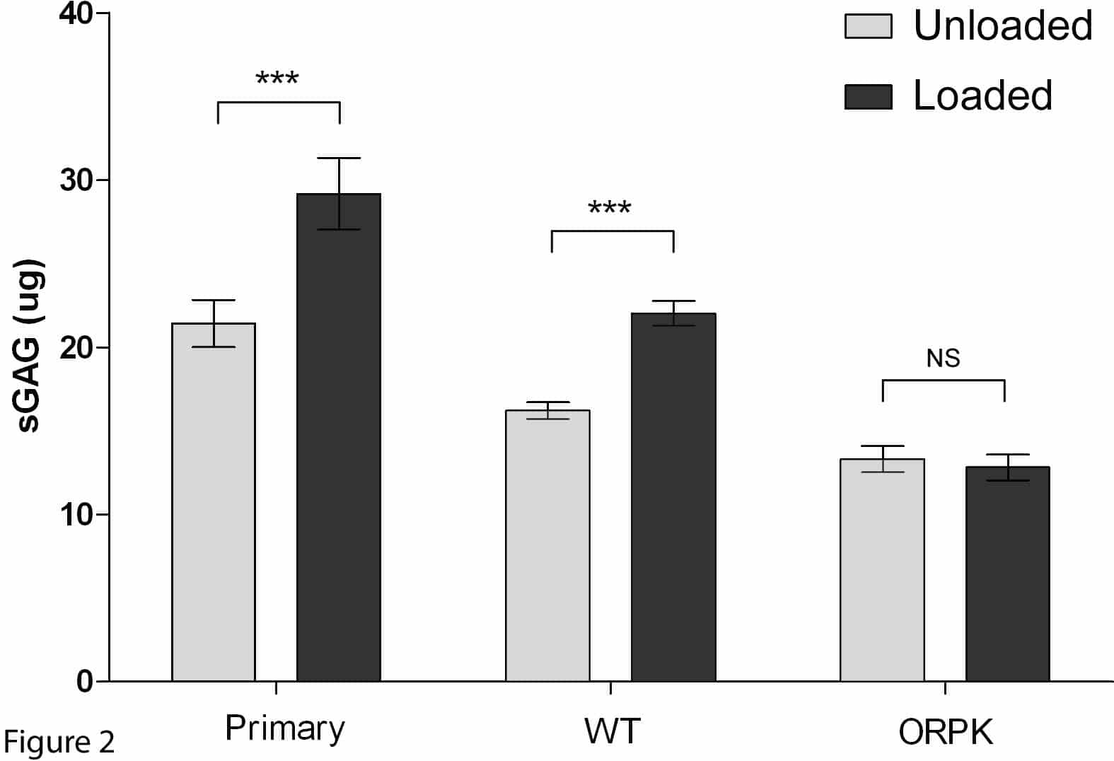 Fig. 2: Cyclic compression up-regulates sGAG synthesis in primary and WT cells but not in ORPK cells. Values represent mean (± SEM) sGAG synthesised per construct. (***p<0.001, unpaired t-test).