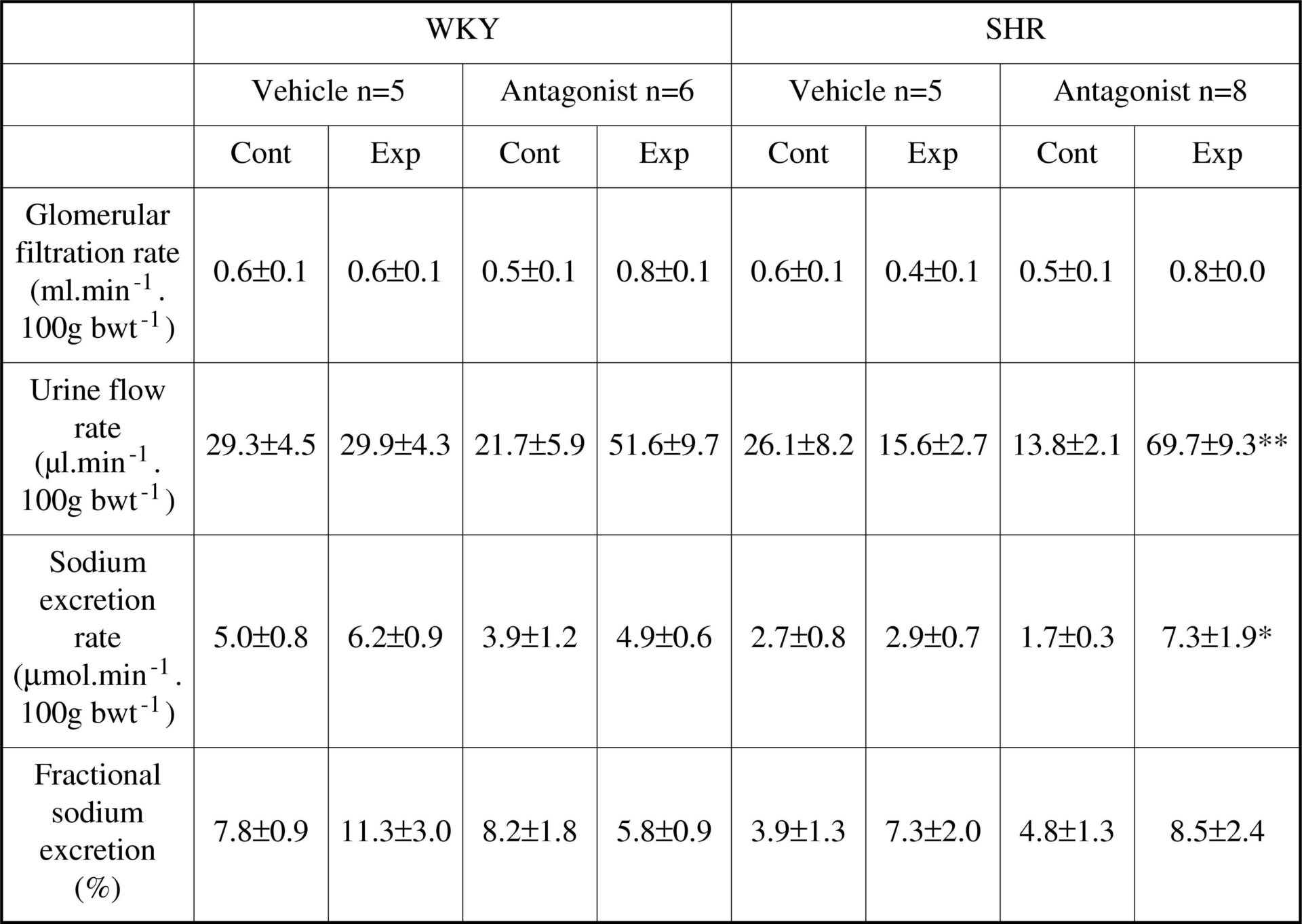 Table 1. Renal variables during initial control period (Cont) and final 15 min of UT-antagonist infusion period (Exp) in vehicle and antagonist-treated groups of young WKY and SHR. Data are mean±SEM, *P&lt;0.05, **P&lt;0.01, two-way ANOVA comparing control and experimental periods, vehicle vs antagonist treatment.