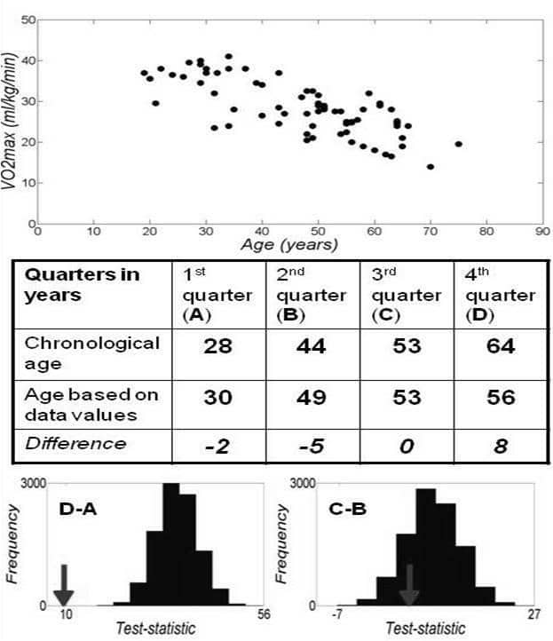 Figure 1. Analyzing VO2max data of women taken form Tanaka and Seals (2003) using a new method. The table shows the difference between the mean age of each quarter based on chronological age and functional values. Permutation tests are then performed to obtain a normal distribution of possible differences in mean ages for the 1st and 4th quarter (D-A) and the two middle quarters (C-B). The outcome is represented in the figures on the bottom left. The arrows indicate where the observed values are compared to the permutated values. The observed values for VO2max are significantly (p<0.01) different from the permutated values for the very young and very old (D-A), but not for the middle age groups (C-B).