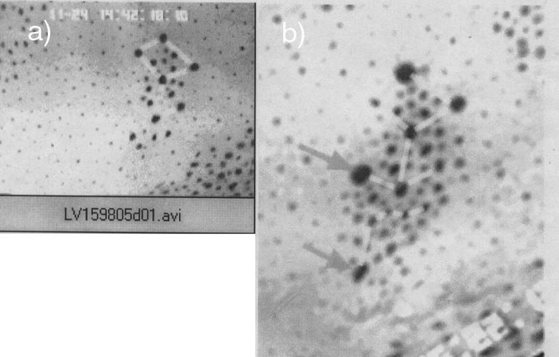 Figure 2 Single 'residual unit' (see text) a) 5days, b) 16days post-operation