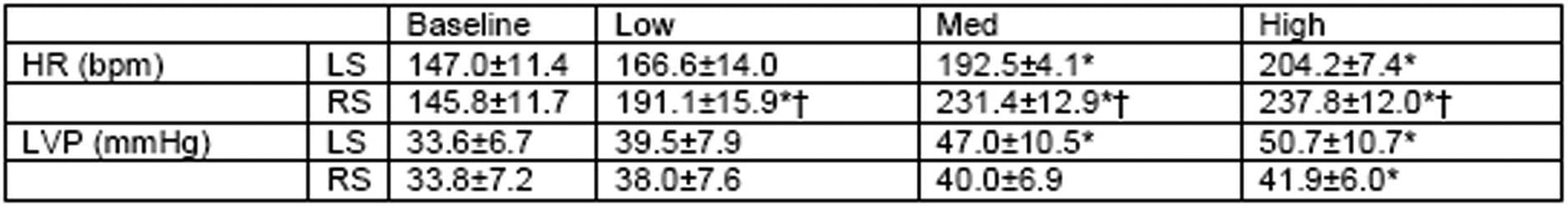 Table 1: Chronotropic and inotropic effect of left (LS) and right sympathetic (RS) chain stimulation. *P<0.05 vs. BL: †LS vs. RS.