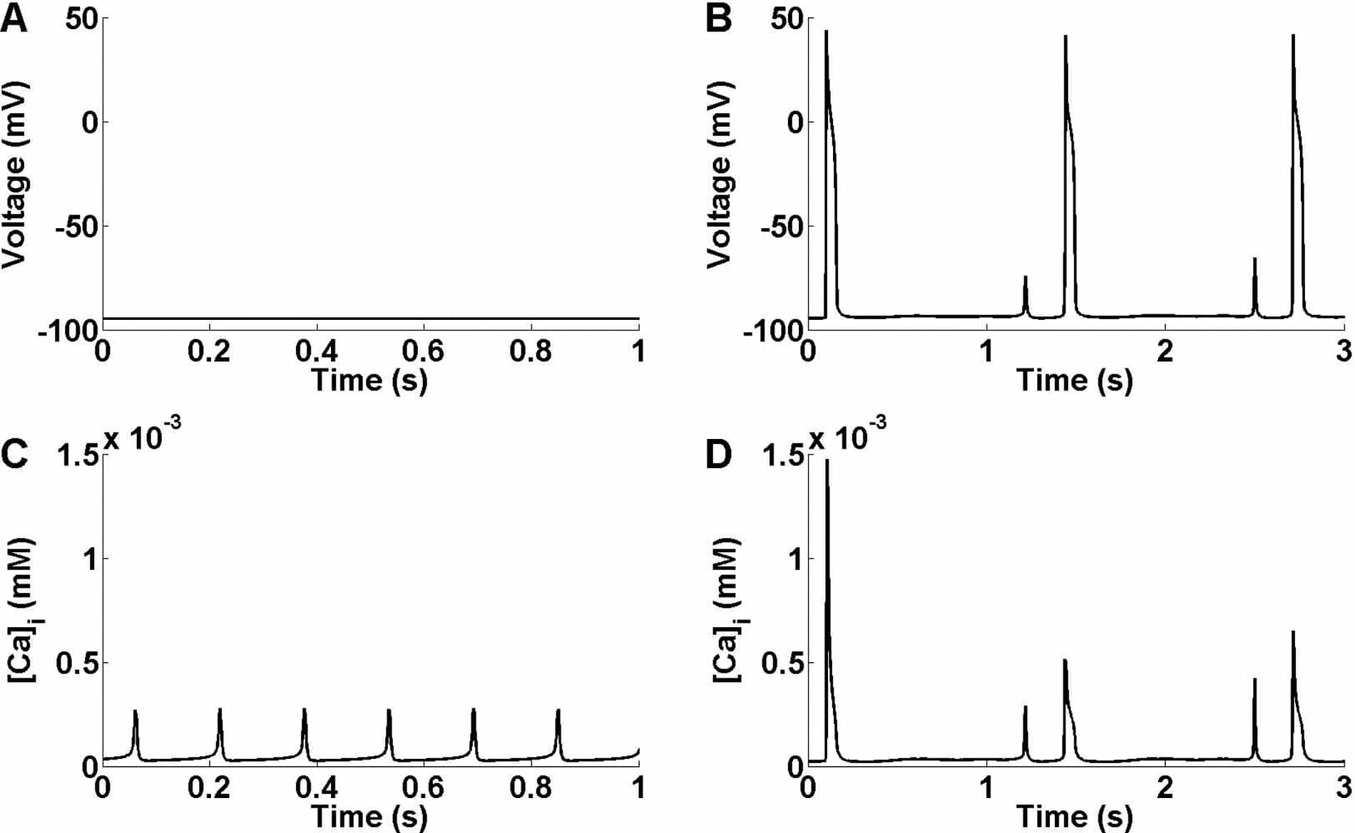 Figure 1. CaOSS and DADs in the Noble ’98 Model. Membrane potential appears in the top two panels and [Ca]i in the bottom two panels. On the left we see CaOSS (panel C) in the absence of membrane currents (V=-94 mV in panel A). On the right “spontaneous” SR calcium release (panel D) is triggering DADs leading to action potentials (panel B) in the full model.