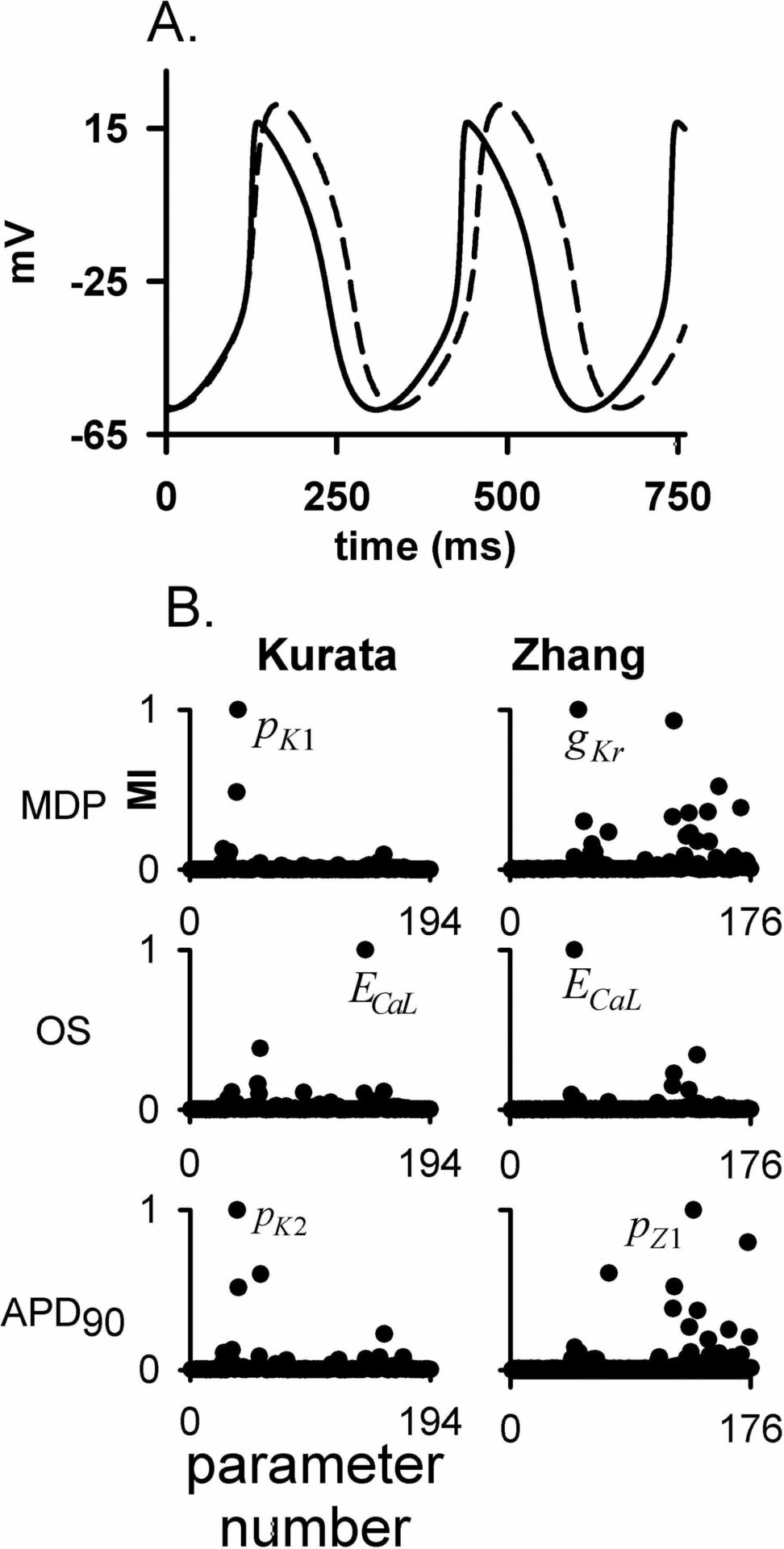 (A) Standard AP profiles from Kurata (solid line) and Zhang (dashed line) models. (B) Left column show relative MI data for Kurata and right column for Zhang. Top panels show data for MDP, middle for OS and bottom for APD90. Parameters that maximally influence the respective model responses are shown. See text for details.