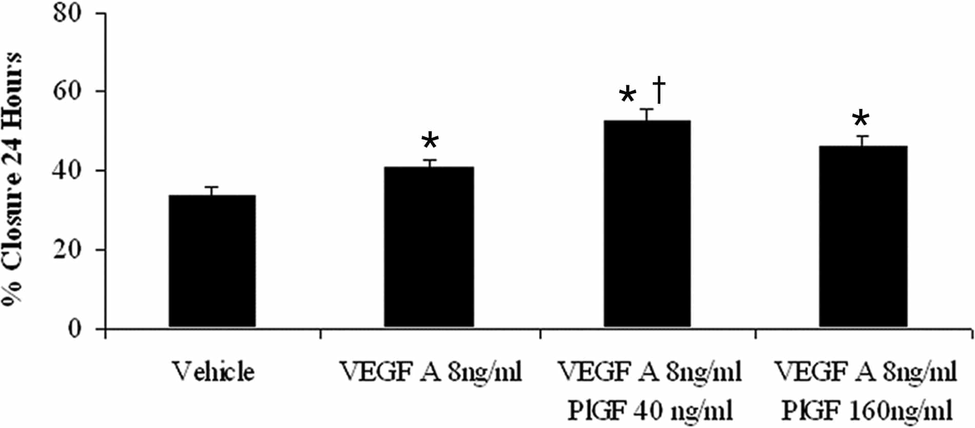 Figure 1: Mean (±SEM) percentage wound closure over a 24 hour period in response to VEGF A alone (8ng/ml), VEGF A and PlGF (40ng/ml or 160ng/ml). * signifies a significant increase in wound healing compared to vehicle, † signifies significant increase compared to VEGF A alone (P<0.05, ANOVA, post hoc Student Newman Keuls). N=6 per group.