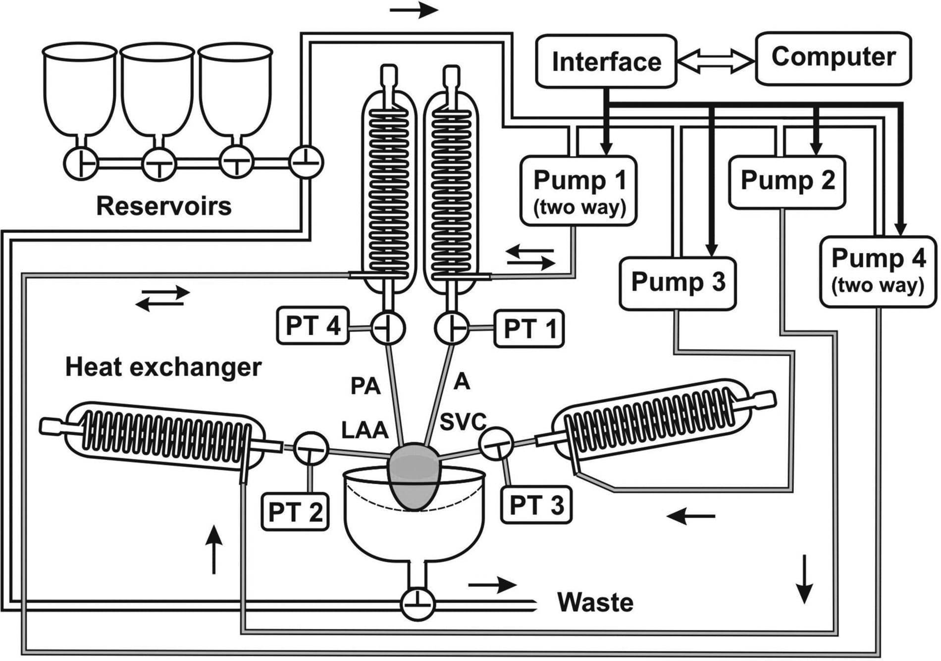 Figure 1. A physiological mode of heart perfusion in vitroPressure transducer (PT), pulmonary artery (PA), aorta (A), superior vena cava (SVC), left atrial appendage (LAA). Pulmonary veins and inferior vena cava were tied.