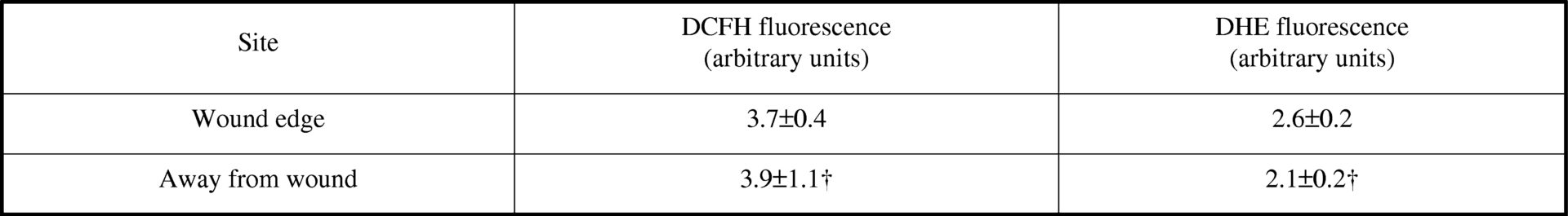 Table 1. Comparison of fluorescence at and away from the wound edge in cells loaded with DCFH and DHE. †, P&gt;0.05 vs wound edge. All data are means±s.e.m. n=24 in all cases.<#13>