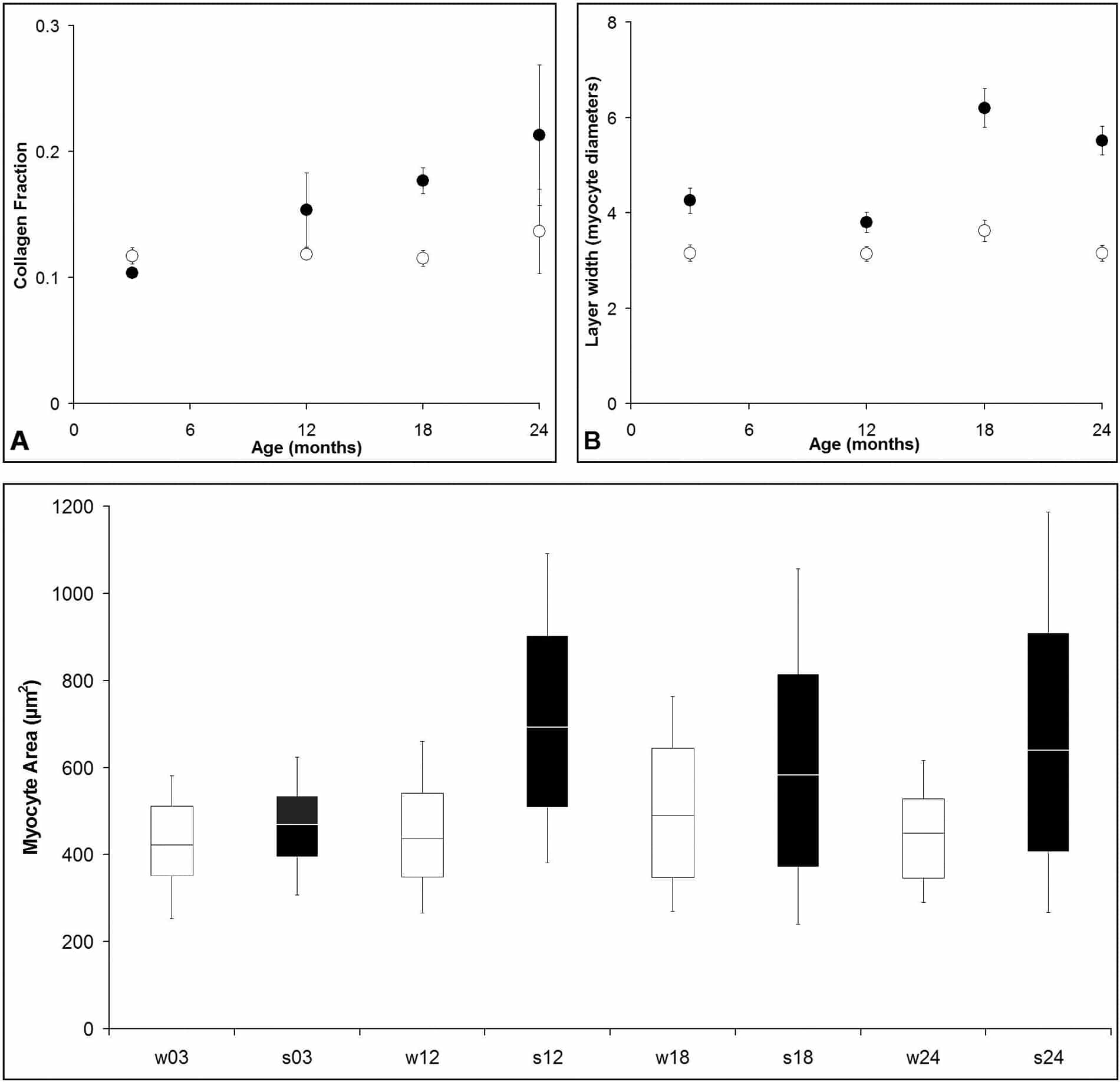 Figure 1. Comparison of left-ventricular tissue structure in SHR (dark, filled) and WKY (white, open) hearts. (A) Collagen fraction. (B) Layer width, measured as number of myocyte diameters. (C) Myocyte cross-sectional area.