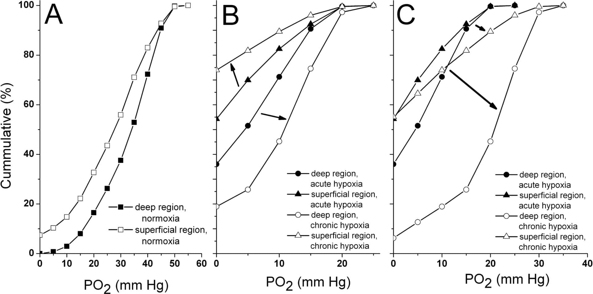 Figure 1: Muscle tissue oxygenation during (A) normoxia (B) acute hypoxia and when taking into account tissue adaptations to chronic hypoxia and (C) chronic hypoxia when also taking into account adaptations in blood flow and haematocrit.