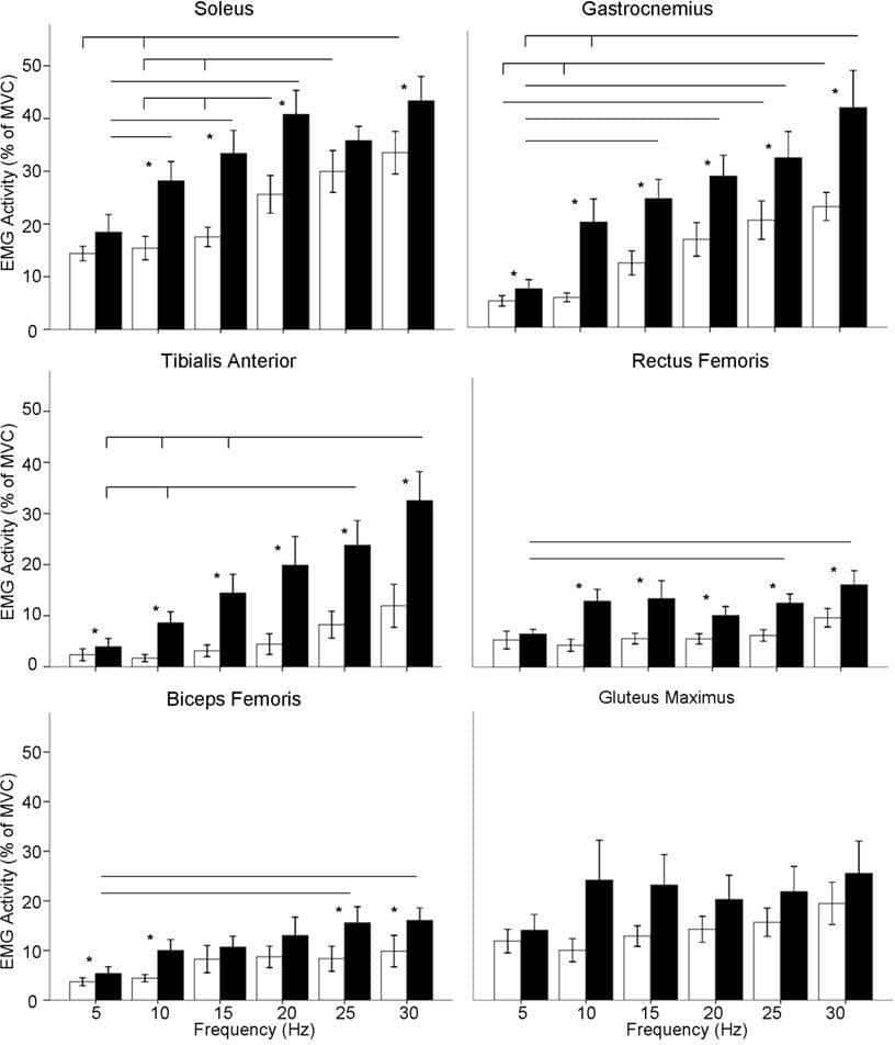 Figure. Mean ± SE of filtered EMG signal recorded in all muscles during WBV represented as a percentage of MVC activity. Black bars show activity during high amplitude vibration. White bars show activity during low amplitude vibration. Horizontal bars indicate significant difference in activity levels between frequencies during either high or low amplitude vibration (P<0.05). * high amplitude activity is significantly greater than low (P<0.05).