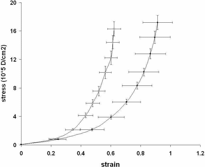 B. Renal arteries from NB rats exhibited increased stiffness compared to NA rats at 4 months (n=9 P<0.05)