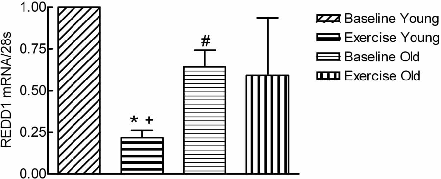 Figure 1: Effect of resistance exercise on mean (SEM) REDD1 mRNA (relative units normalised to baseline for young) for n=9 old and n=10 young women. *+# = P<0.05 (RM ANOVA). * Significantly less than at rest; + significantly less than old women at rest; # significantly less than young women at rest.