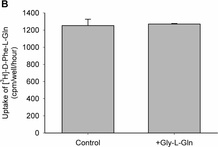 Figure 1B: Uptake of [3H]-D-Phe-L-Gln into A549 cells in the absence or presence of 25mM Gly-L-Gln (n=3 wells per condition 1 hr uptake).