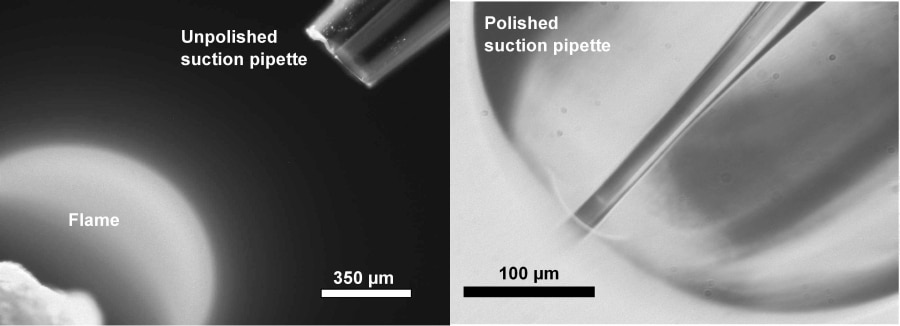 Figure 1. Photomicrographs of the gas flame and suction pipette. The left image was taken at low magnification and shows the static gas flame and the cut unpolished pipette. The right image at higher magnification shows the suction pipette polished to an internal diameter of 15 µm.