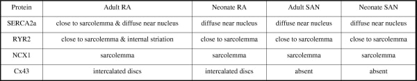 Table 2. Summary of immunohistochemical data.