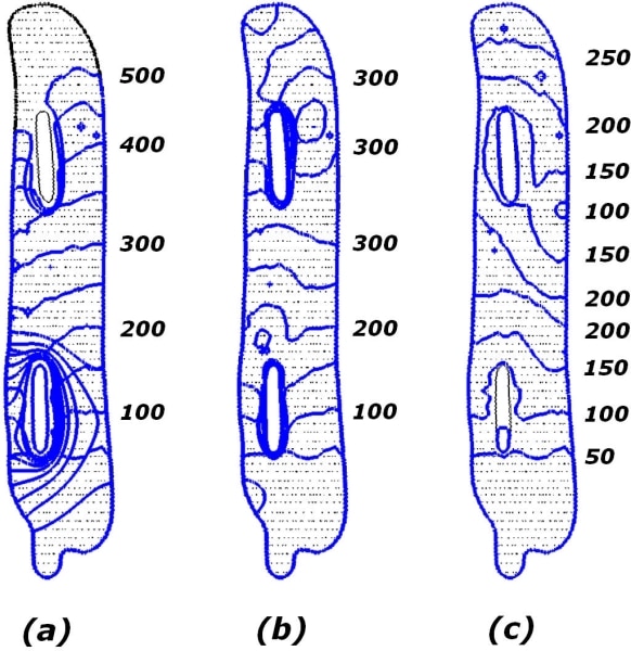 Fig. 1 Effects of the nuclear envelope diffusion coefficient on nuclear-cytosolic calcium transient coupling on intracellular calcium wave patterns. Isochrones of 20μM [Ca2+] are shown with time steps of 50ms. At t = 0ms, a stimulus is applied at the bottom end of the cell by increasing calcium concentration to 50 μM, with (a) DNE = 0.1 μm2/s, (b) DNE = 1.0 μm2/s, (c) DNE = 5.0 μm2/s.