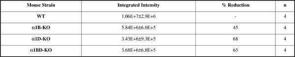 Table 1. Integrated intensity to QAPB in the WT and KO