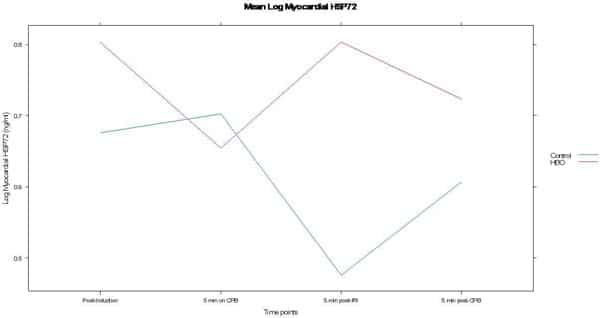 Changes in myocardial Hsp72 expression
