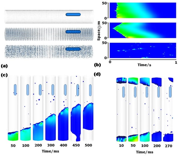 Figure (a) the 3D geometry of the virtual cardiac myocyte. (b) Pseudo line scans of Ca2+ concentration on 50μm space (with transverse spacing of RyRs) for 1 second under different conditions. (c) 3D simulation of solitary wave initiated in one end. (d) Stimulus applied at both ends of the cell with iCa = 5.0 Kposs= 800μM waves fail to propagate due to relatively small release current iCa.