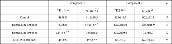 Table 1. Diffusion of the β3-AR in CHO cell membranes