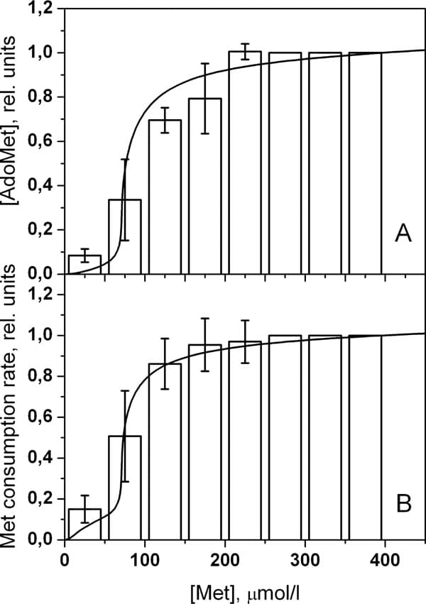Fig. 1.The dependence of steady-state values of (A) [AdoMet] and (B) the rate of Met consumption on [Met] in mouse hepatocytes. Bars indicate experimental data (n=12) averaged (mean ±SD) over 50 μM [Met] intervals. Solid lines show the results of modeling. Data in each experiment is normalized to values obtained at an initial [Met] 400 µM. The theoretical data is normalized appropriately.