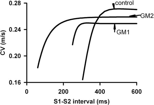 Figure 2. CV restitution curves for control GM1 and GM2.