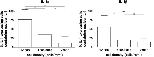 Figure 1: Cell density dependent nuclear localisation of IL-1α and β in BV-2 cells. BV-2 cells seeded at various densities were treated with 1μg/ml LPS for 6h fixed immunostained for IL-1 α or β and nuclei labelled with DAPI. Random fields of view were chosen by focusing on the DAPI stain and widefield images were captured using a 40x objective. Local cell density was assessed by counting DAPI stained nuclei and the proportion of IL-1 expressing cells containing nuclear IL-1 was counted in each field of view. The data shown are mean ± SD from three independent experiments. *** p<0.001 Kruskall Wallis with post hoc Dunn’s multiple comparison test.