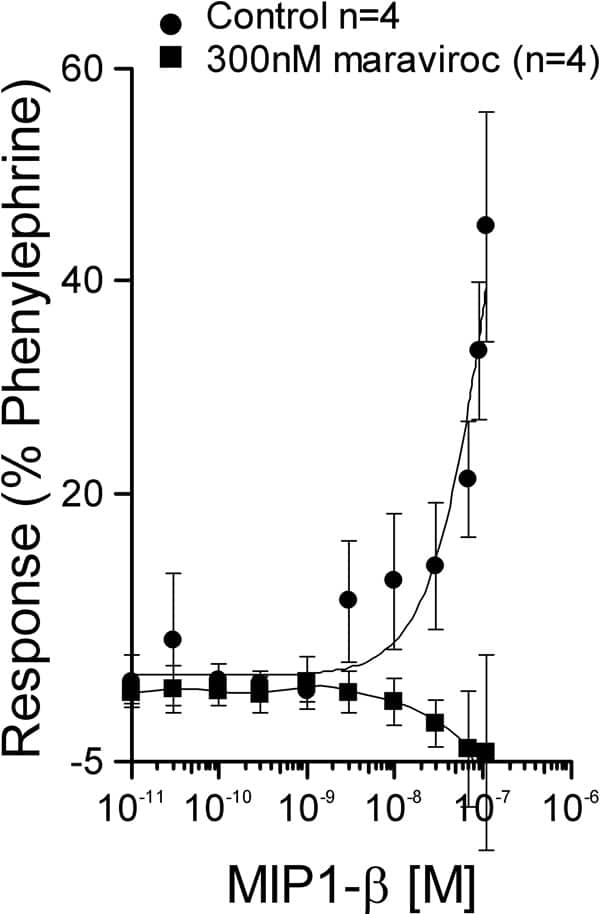Fig. 1 Antagonism of MIP1-β by maraviroc in SV