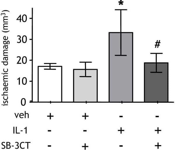 Figure1. Systemic challenge with recombinant IL-1β at the onset of MCAo significantly increased the extent of brain damage and this was attenuated by co-administration of SB-3CT.