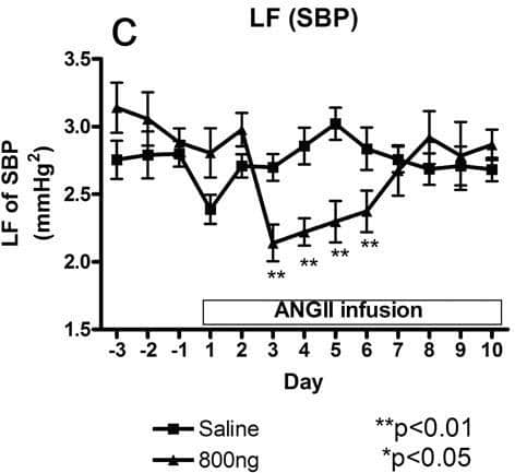Figure 1. Cardiovascular effects of chronic AngII infusion.