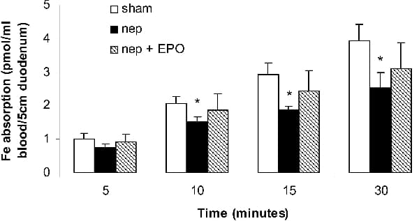 Figure 1. In vivo iron absorption by the duodenum of sham nephrectomised and EPO treated nephrectomised rats. Results are expressed as mean ± SEM of 6 animals per group. * P<0.05 compared to sham using ANOVA.