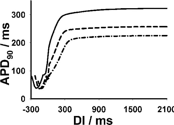 Figure 2. Changes in cell AP restitution due to gain-of-function in IK1. WT restitution is shown as solid line (maximal slope = 2.3) HMT as dashed line (maximal slope = 2.2261) and MT as dashed-dotted line (maximal slope = 0.4608). Changes in restitution associated with gain-of-function in IK1 are not available.