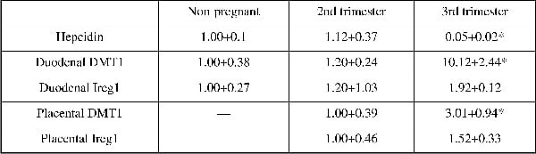 Table 1. mRNA expression of iron transporters and regulators during pregnancy