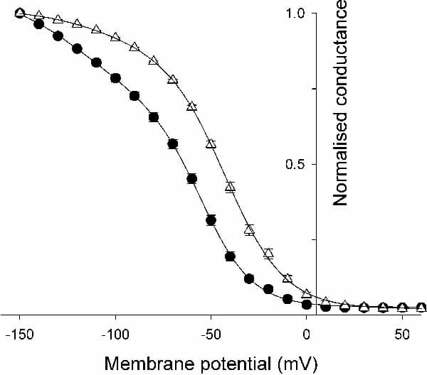 Figure 1. Relationship between normalised conductance and membrane potential for wild type Kir2.1 (open triangles) and Kir2.1 T142A (filled circles). [K+]o 35mM.