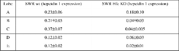 Table 1. Hepcidin 1 mRNA content relative to actin in the different liver lobes of SWR wt (n=5) and Hfe knockout (n=5) fed on a normal diet
