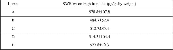 Table 2. Liver irons (µg/g dry weight) of the different lobes in SWR wt fed an high iron diet (n=6)