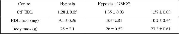 Table 1. C:F ratio for control and 2 week hypoxia ± DMOG