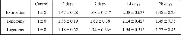 Table 1: Densitometry data for VEGF blots
