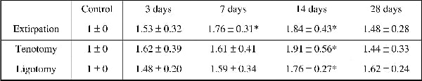 Table 2: Densitometry data for Flk-1 blots.